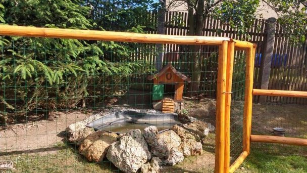 Penzión Limbový dvor Vrbov 7 Penzión Limbový dvor Vrbov 7
