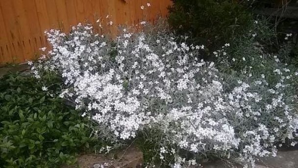 Privát Kelušiak Habovka 12 Privát Kelušiak Habovka 12