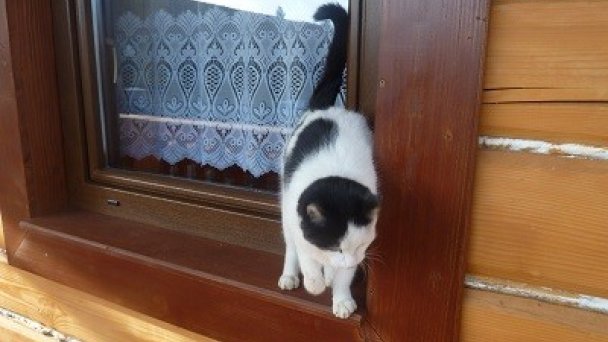 Drevenica Na Potoku Matiašovce 73