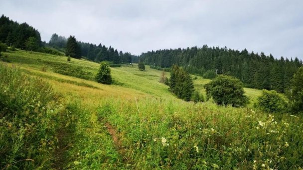 Chalupka pod Kozincom Zázrivá 67