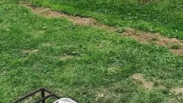 Chata Pod kopcom Starina 22