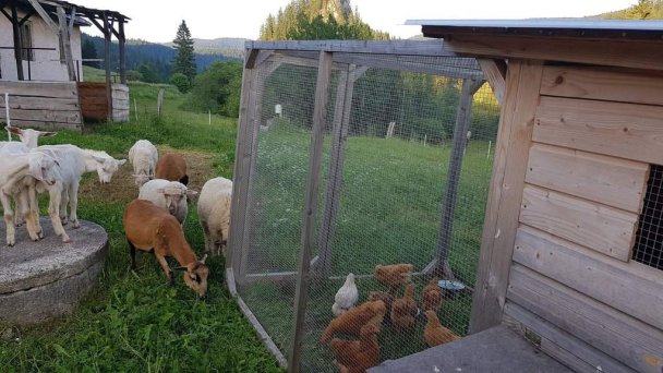 Ranč pod Ostrou skalou Stratená 68