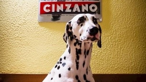Penzión Pani B. Dolný Kubín 25