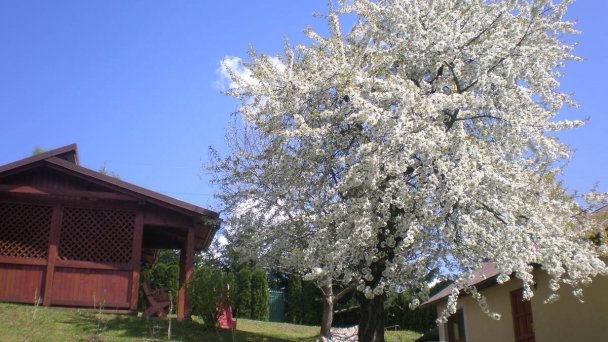 Chalupy Efendy Krompachy 42 Chalupy Efendy Krompachy 42