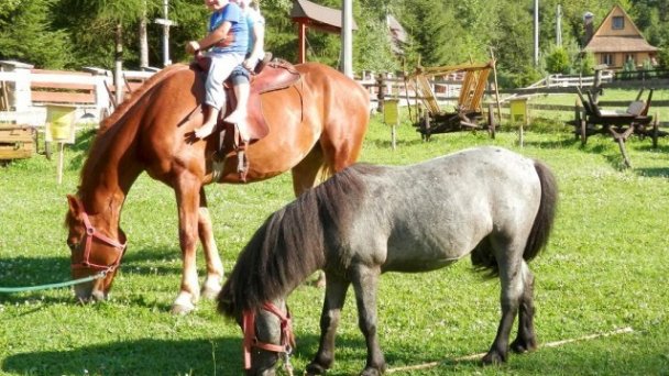 Drevenica Babička Jezersko 4