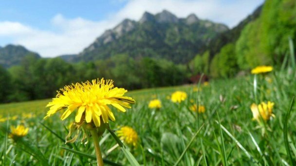 Antiqua Villa penzión Spišská Stará Ves 23 Antiqua Villa penzión Spišská Stará Ves 23