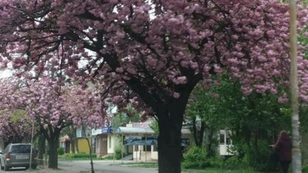 Hostel White Coral Košice - Barca 18 Hostel White Coral Košice - Barca 18