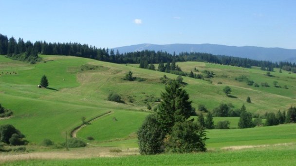 Drevenica Katka Pokryváč 11 Drevenica Katka Pokryváč 11
