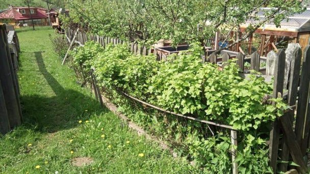 Chatka BeJa Malá Franková 17