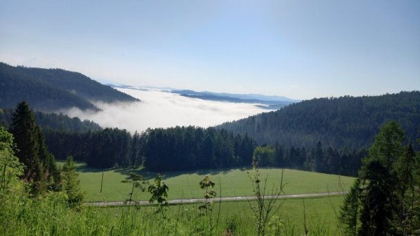 Chata pod lesom Veľká Franková 25