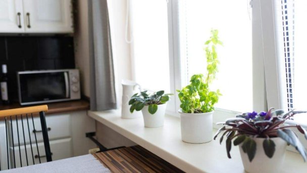 Staromestský vintage apartmán Štúrova Košice 13 Staromestský vintage apartmán Štúrova Košice 13