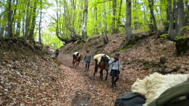 Penzión Skalná ruža Gemerská Hôrka 10 Penzión Skalná ruža Gemerská Hôrka 10