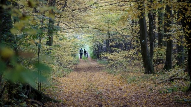 Penzión Skalná ruža Gemerská Hôrka 27 Penzión Skalná ruža Gemerská Hôrka 27