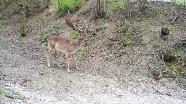 Chata pri jazierku Vyšná Voľa 13