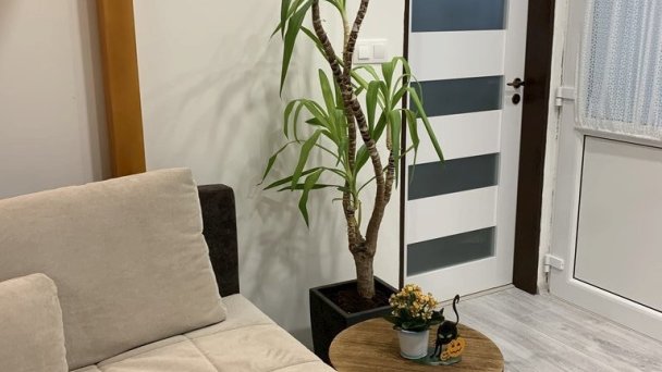 Apartmány Cukor 68 a Andrea Poprad 11 Apartmány Cukor 68 a Andrea Poprad 11
