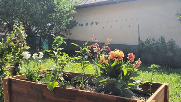 Apartmán Zelený domček Štrba 15