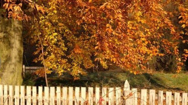 Drevenica Beniky Liptovské Beharovce 14