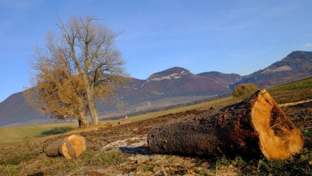 Drevenica Beniky Liptovské Beharovce 23