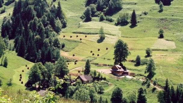 Chata František - Havrania Zázrivá 13
