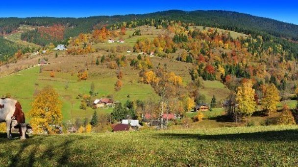 Chata František - Havrania Zázrivá 12