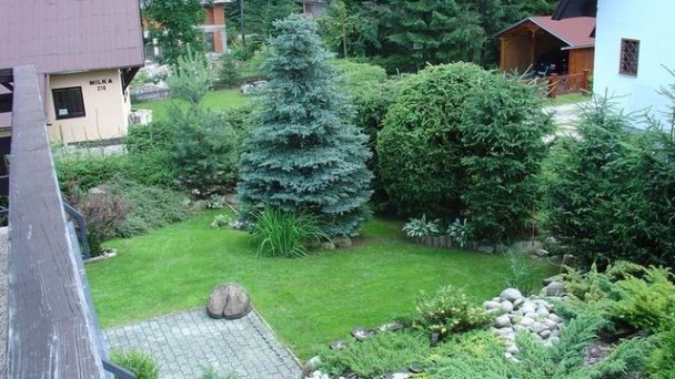 Chata Dagmar Pavčina Lehota 9 Chata Dagmar Pavčina Lehota 9