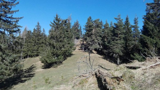Chata Pod Pálenicou Pavčina Lehota 20