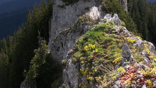 Privát Severka Pavčina Lehota 17 Privát Severka Pavčina Lehota 17
