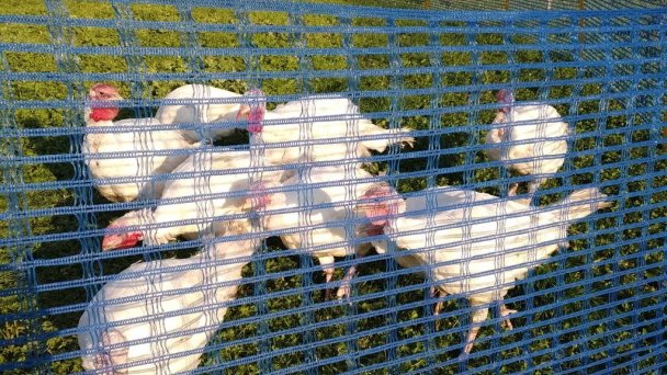 Chalupa - penzión Prieves Zuberec 17