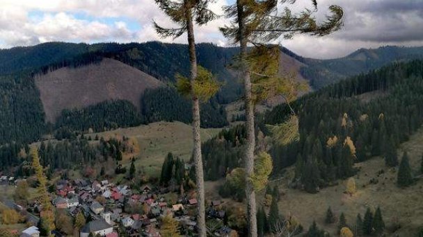 Drevenica HugLu Nižná Boca 7
