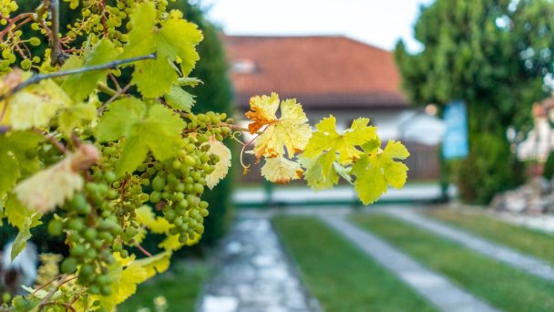 Vila Familia Turčianske Teplice 46