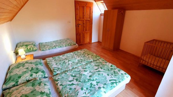 Vilka Cibulka Ižipovce 15 Vilka Cibulka Ižipovce 15