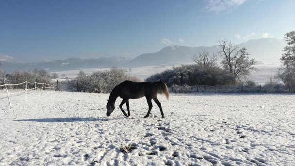 Apartmány Ranč Košťany nad Turcom 25