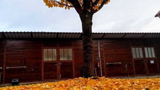 Apartmány Ranč Košťany nad Turcom 34