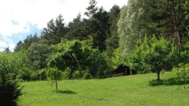 Apartmán u Šárky Valaská 14