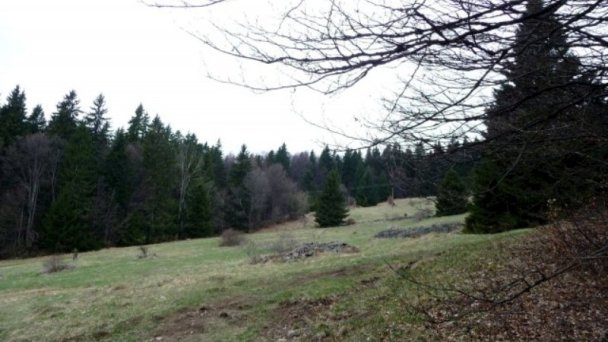 Ubytovanie u Heleny Hriňová 42 Ubytovanie u Heleny Hriňová 42