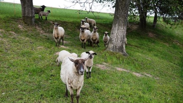 Chaty Antónia Hriňová 28 Chaty Antónia Hriňová 28