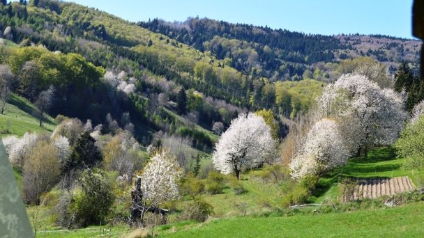 Chaty Antónia Hriňová 33 Chaty Antónia Hriňová 33