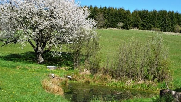 Chaty Antónia Hriňová 35 Chaty Antónia Hriňová 35