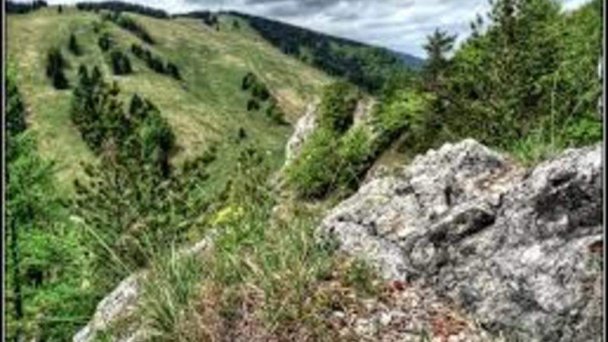 Chatka v lese Ružomberok 42 Chatka v lese Ružomberok 42