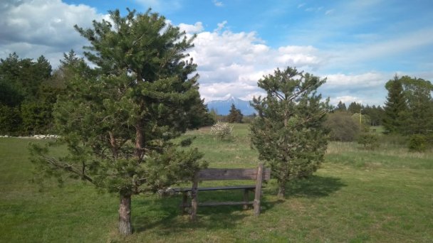 Chata Alpine Vavrišovo 29