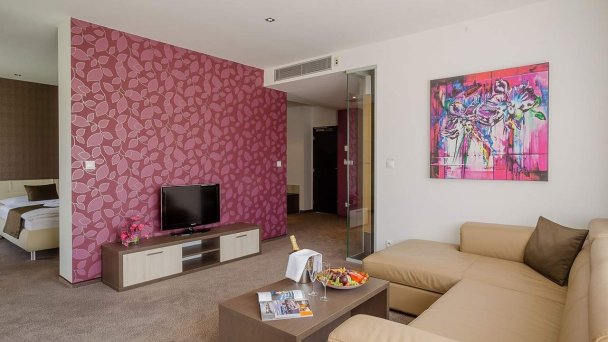 Hotel Tenis **** Zvolen 51