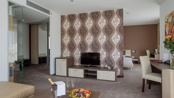 Hotel Tenis **** Zvolen 90