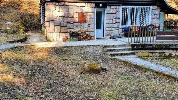 Horská chata v srdci Kremnických hôr Sielnica 7