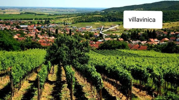 Villa Vinica Limbach 7