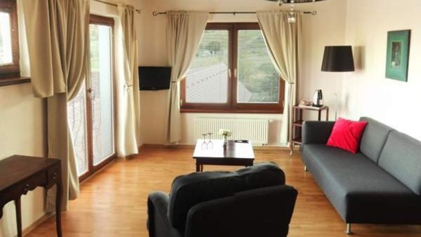 Villa Vinica Limbach 3