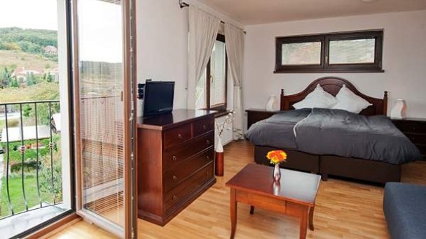 Villa Vinica Limbach 12