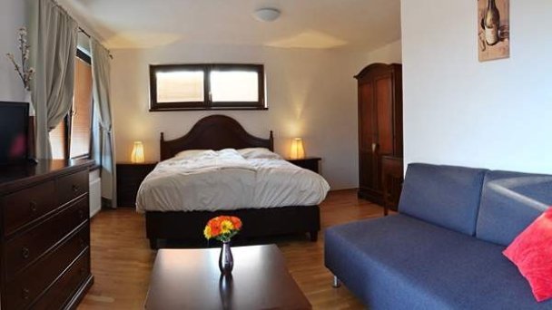 Villa Vinica Limbach 14