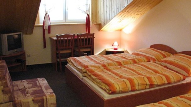 Penzión u Tonky Borský Svätý Jur 12 Penzión u Tonky Borský Svätý Jur 12