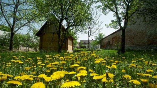 Penzión Tóth Moravany nad Váhom 39 Penzión Tóth Moravany nad Váhom 39