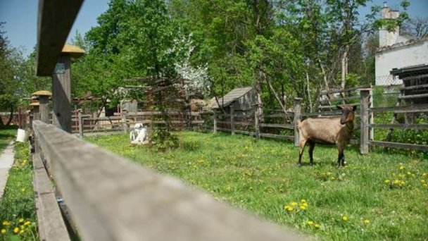 Penzión Tóth Moravany nad Váhom 40 Penzión Tóth Moravany nad Váhom 40
